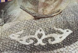 鱼皮衣,传统工艺与现代时尚的交融之旅